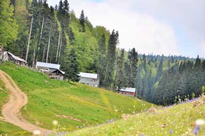 Derebalık Yaylası